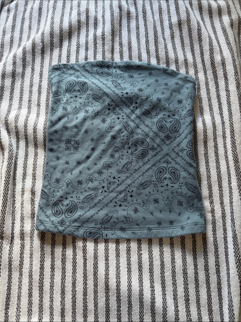 Women's Dusty Blue Paisley Print Tube top